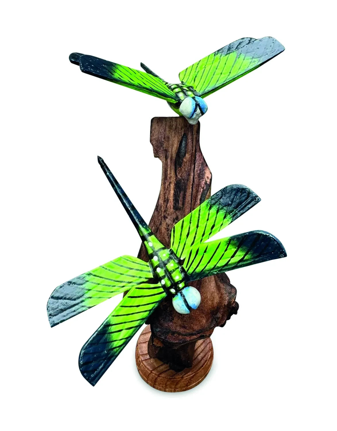 DOUBLE EMPEROR DRAGONFLY ON DRIFTWOOD 18cm H