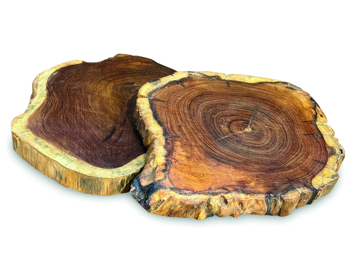 TREE ROOT SLICE PLACEMATS SMALL SIZE 20-25CM