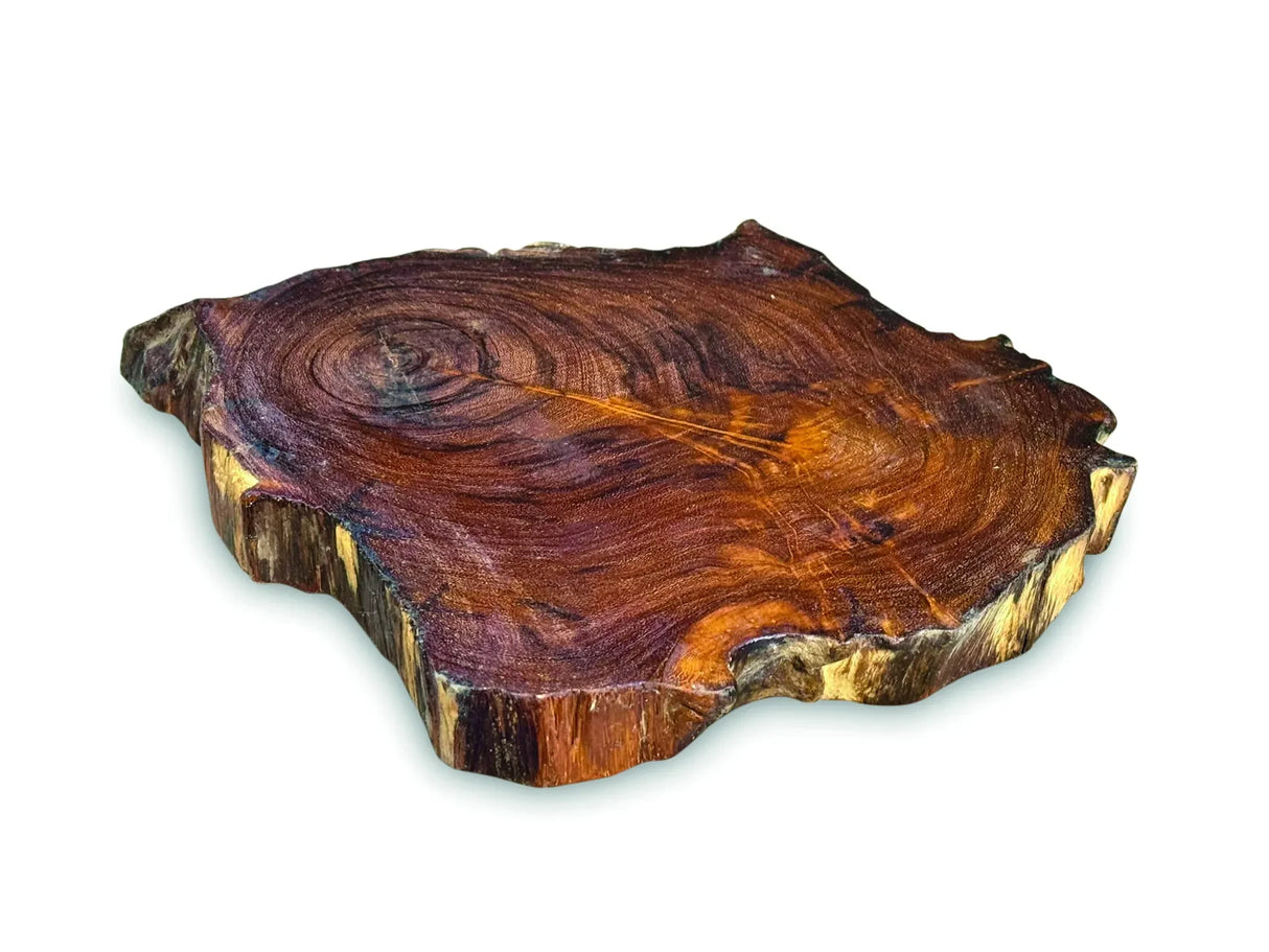 TREE ROOT SLICE PLACEMATS SMALL SIZE 20-25CM