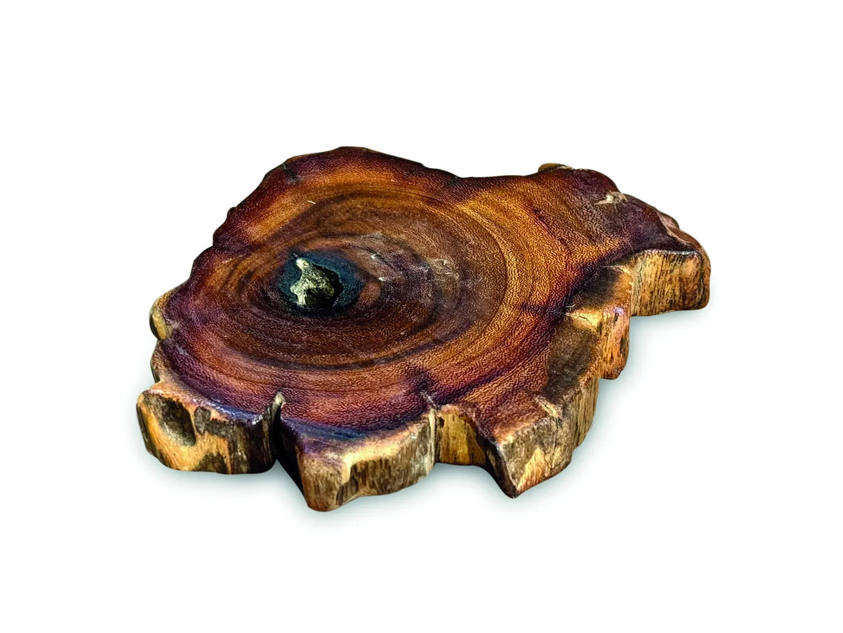TREE ROOT SLICE COASTER 10-17CM
