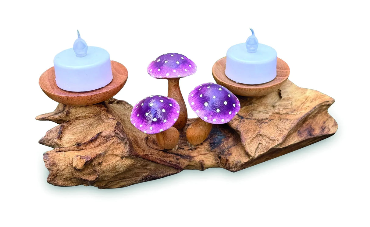 3 VIOLET CLOSED CAP MUSHROOMS WITH DOUBLE DOUBLE CANDLE HOLDERS LOW