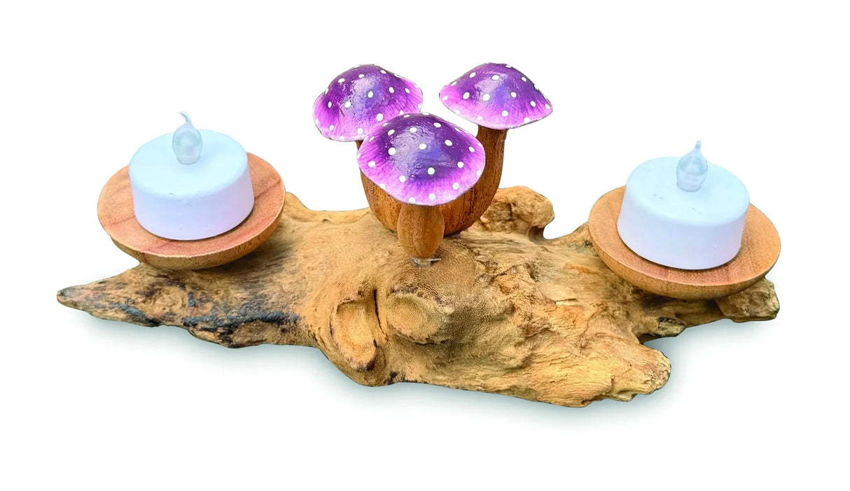 3 VIOLET CLOSED CAP MUSHROOMS WITH DOUBLE DOUBLE CANDLE HOLDERS LOW