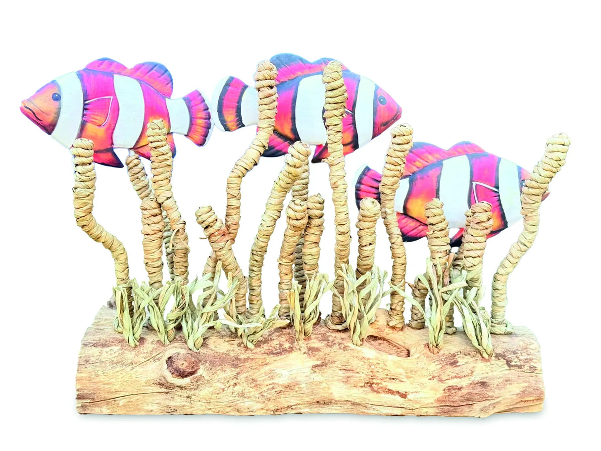 CLOWNFISH SHOAL IN SEAGRASS