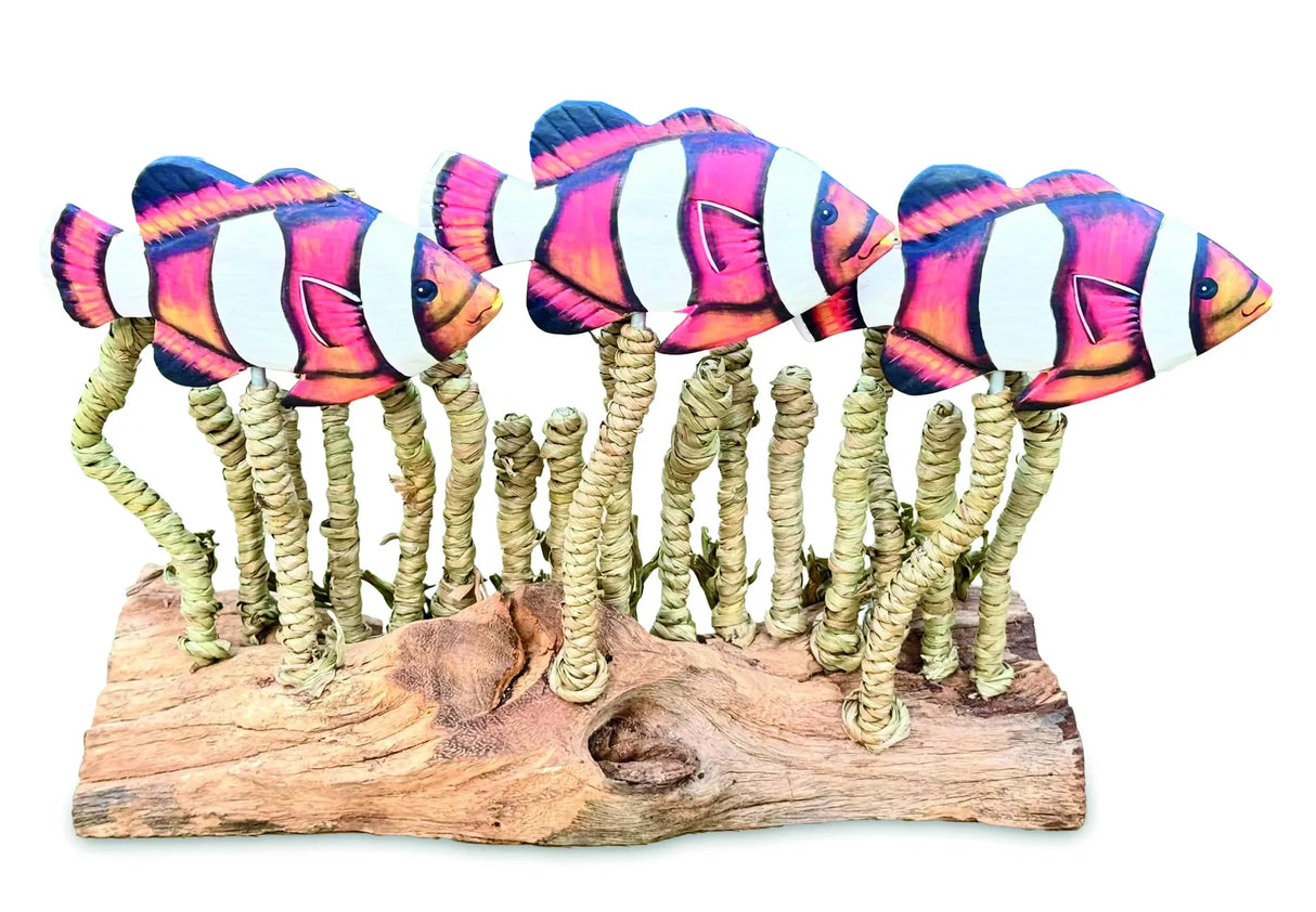 CLOWNFISH SHOAL IN SEAGRASS