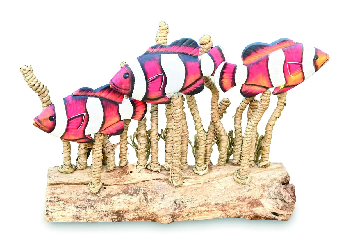 CLOWNFISH SHOAL IN SEAGRASS