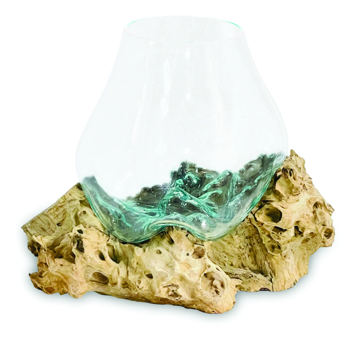 ROOT WITH GLASS BOWL EXTRA LARGE