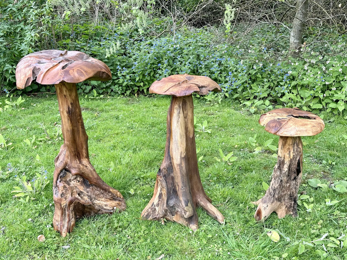 Root Giant Wild Mushroom Set Of 3