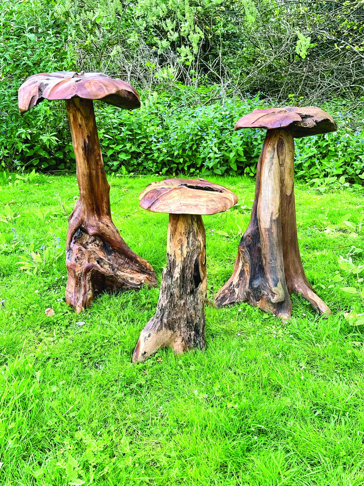 Root Giant Wild Mushroom Set Of 3