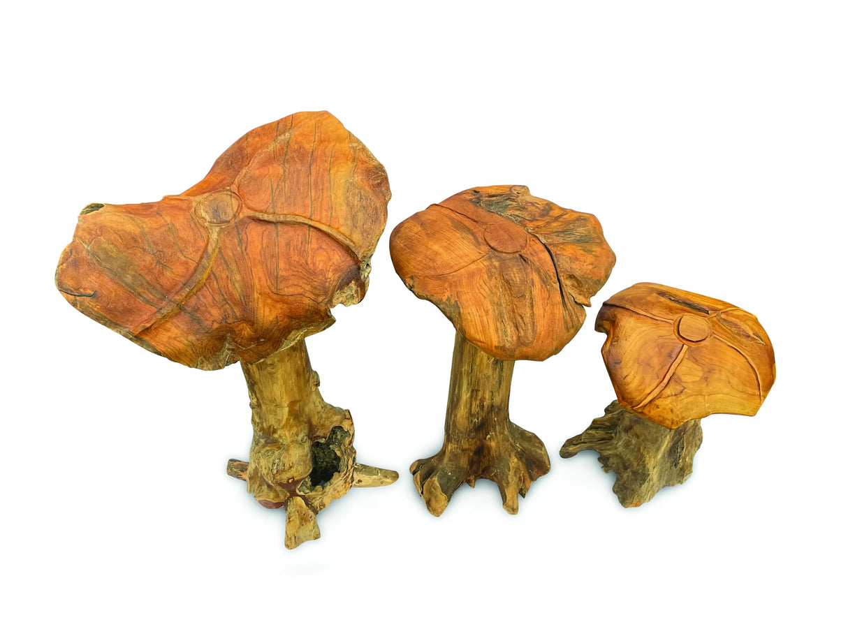 Root Giant Wild Mushroom Set Of 3