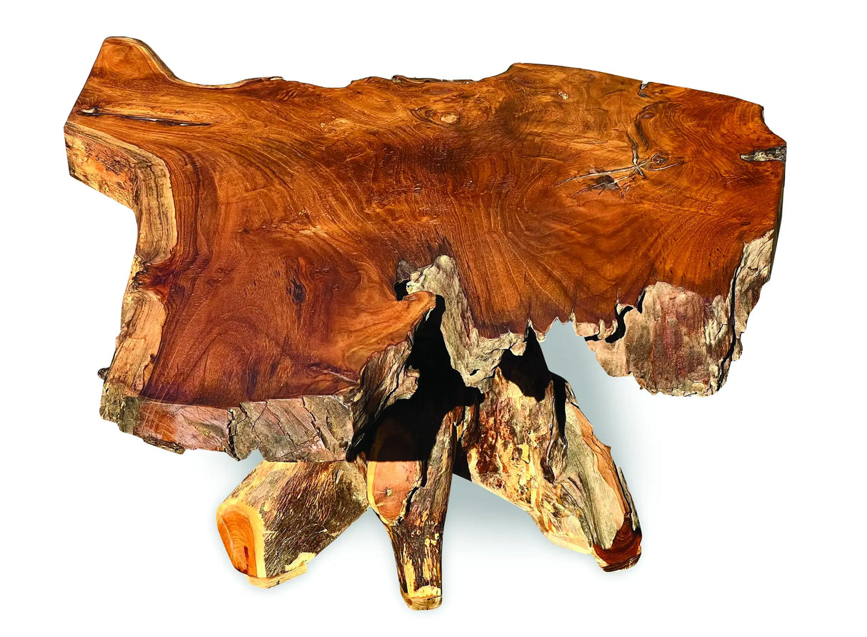 Root Coffee Table 1 Leg