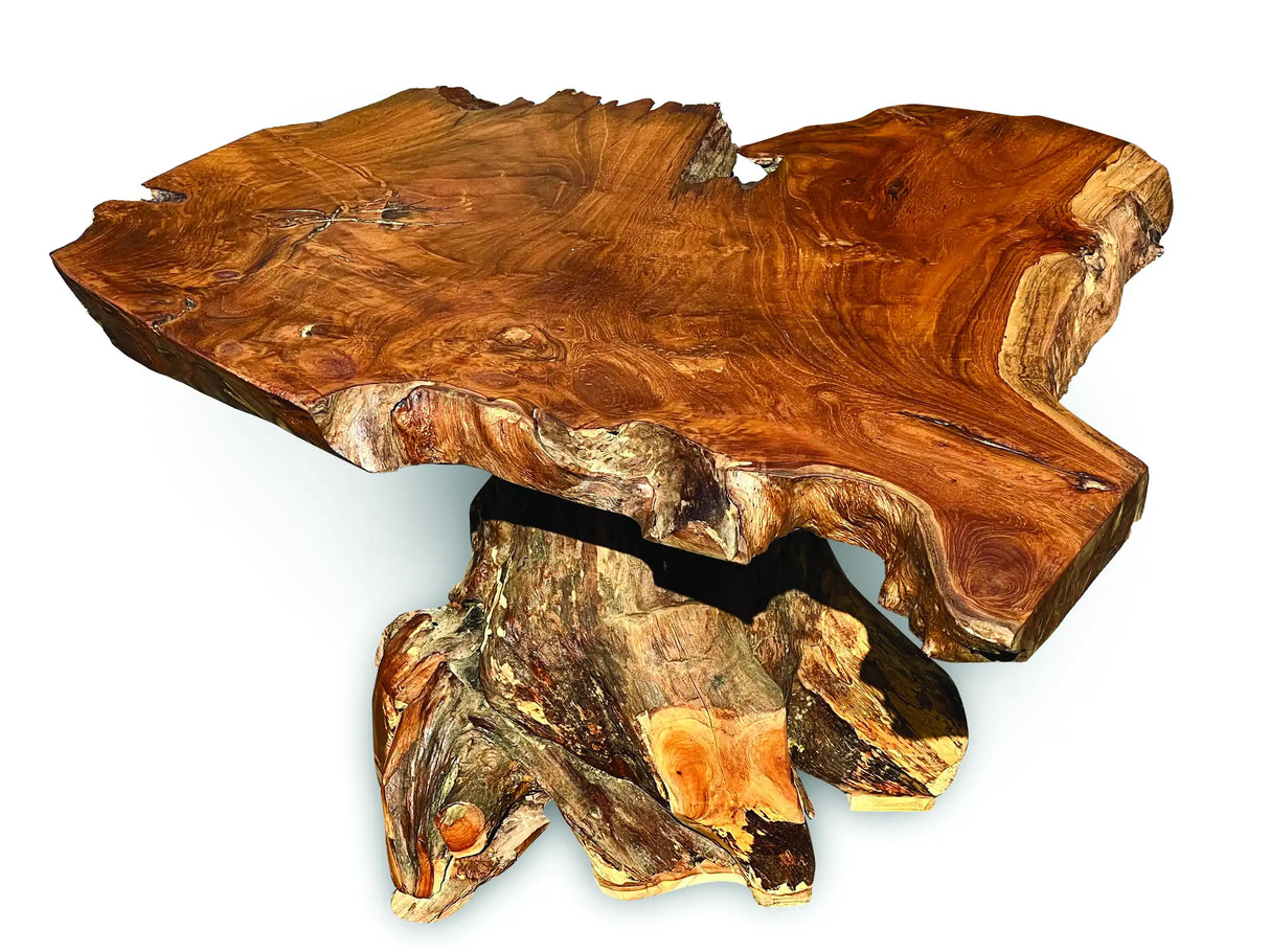 Root Coffee Table 1 Leg