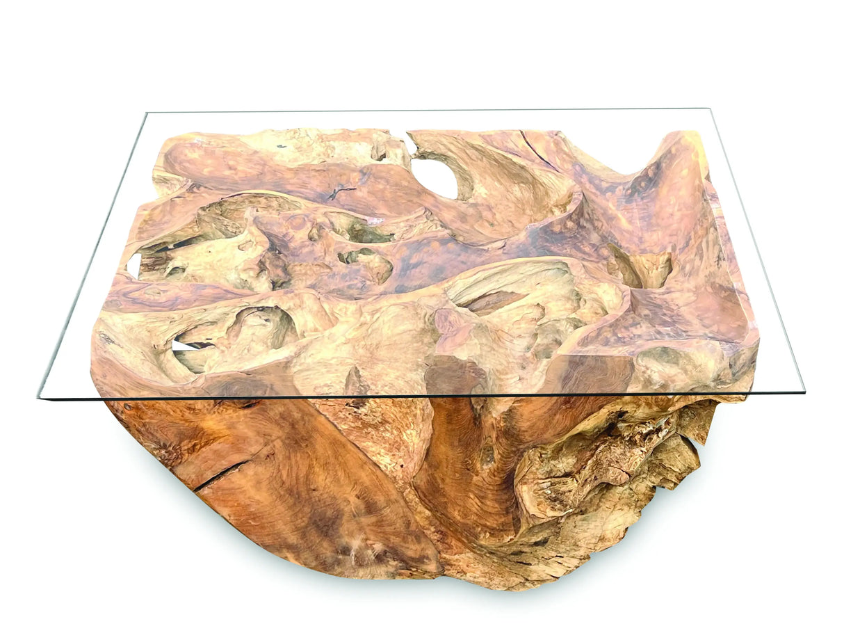 Root Rect. Lombok coffee table with 100x70 cm glass