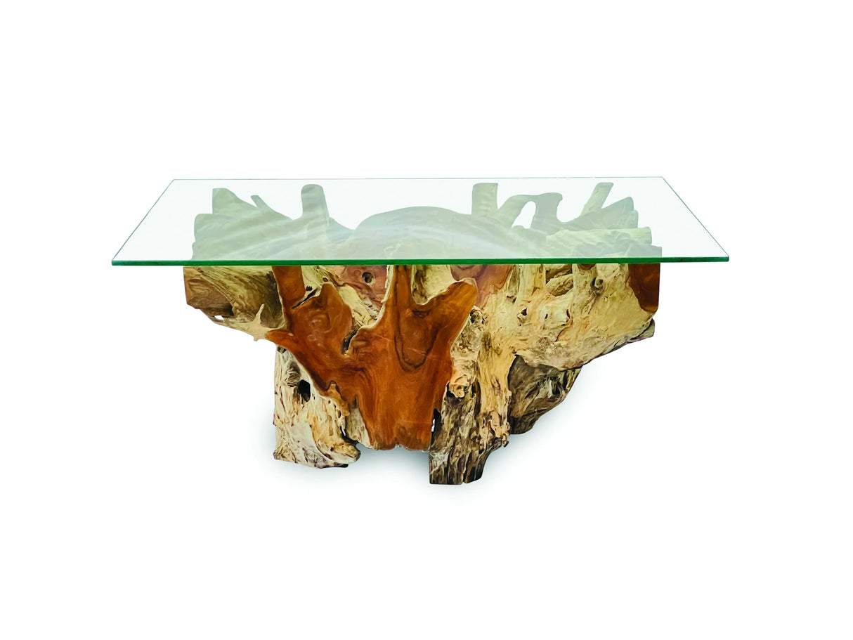 Root Rect. Lombok coffee table with 100x70 cm glass