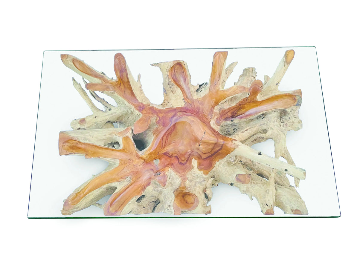 Root Rect. Lombok coffee table with 100x70 cm glass