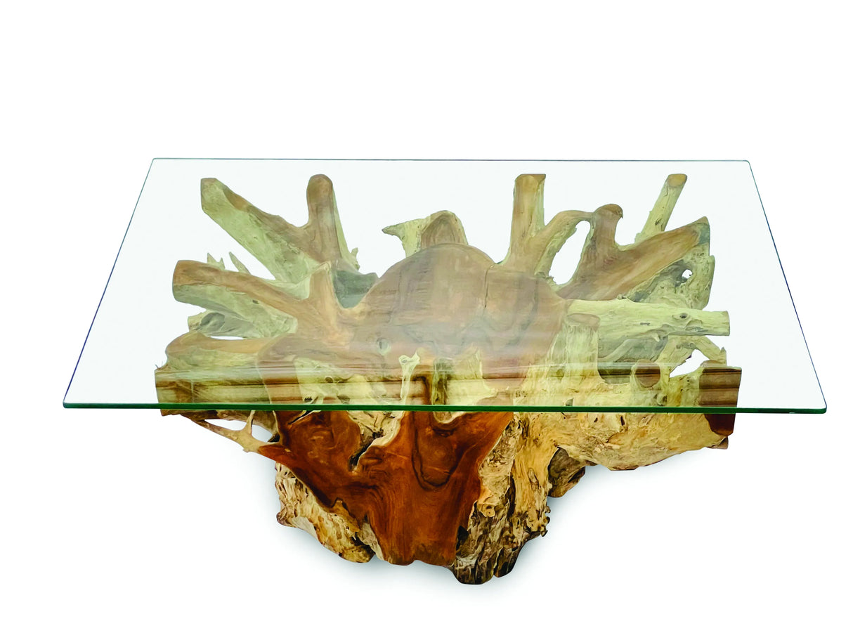 Root Rect. Lombok coffee table with 100x70 cm glass