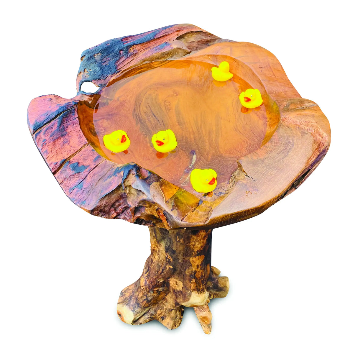 Root Giant Bird Bath