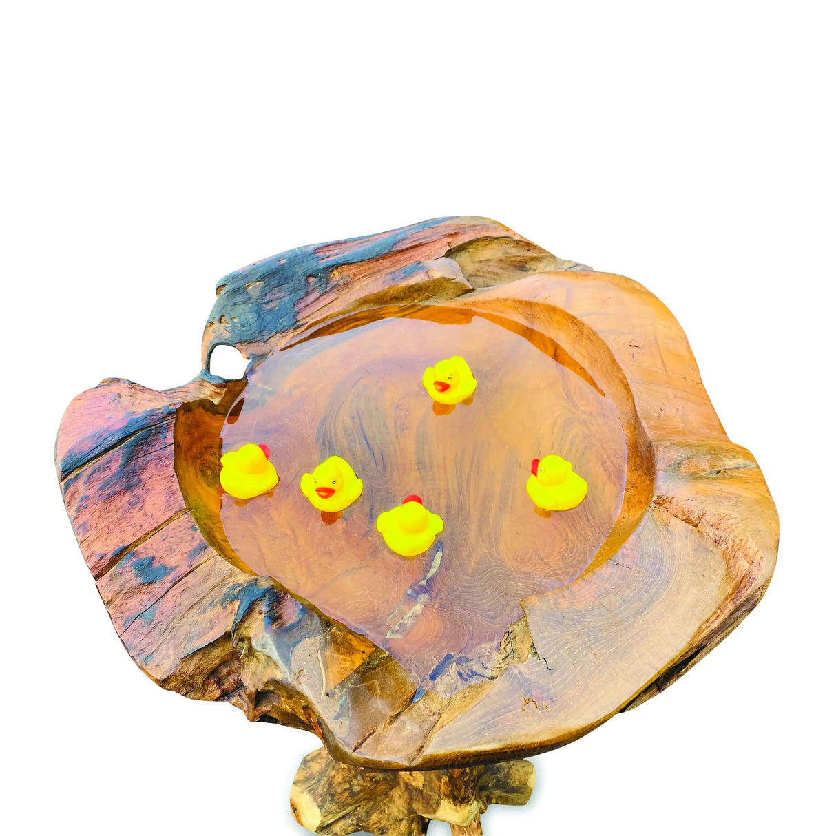 Root Giant Bird Bath