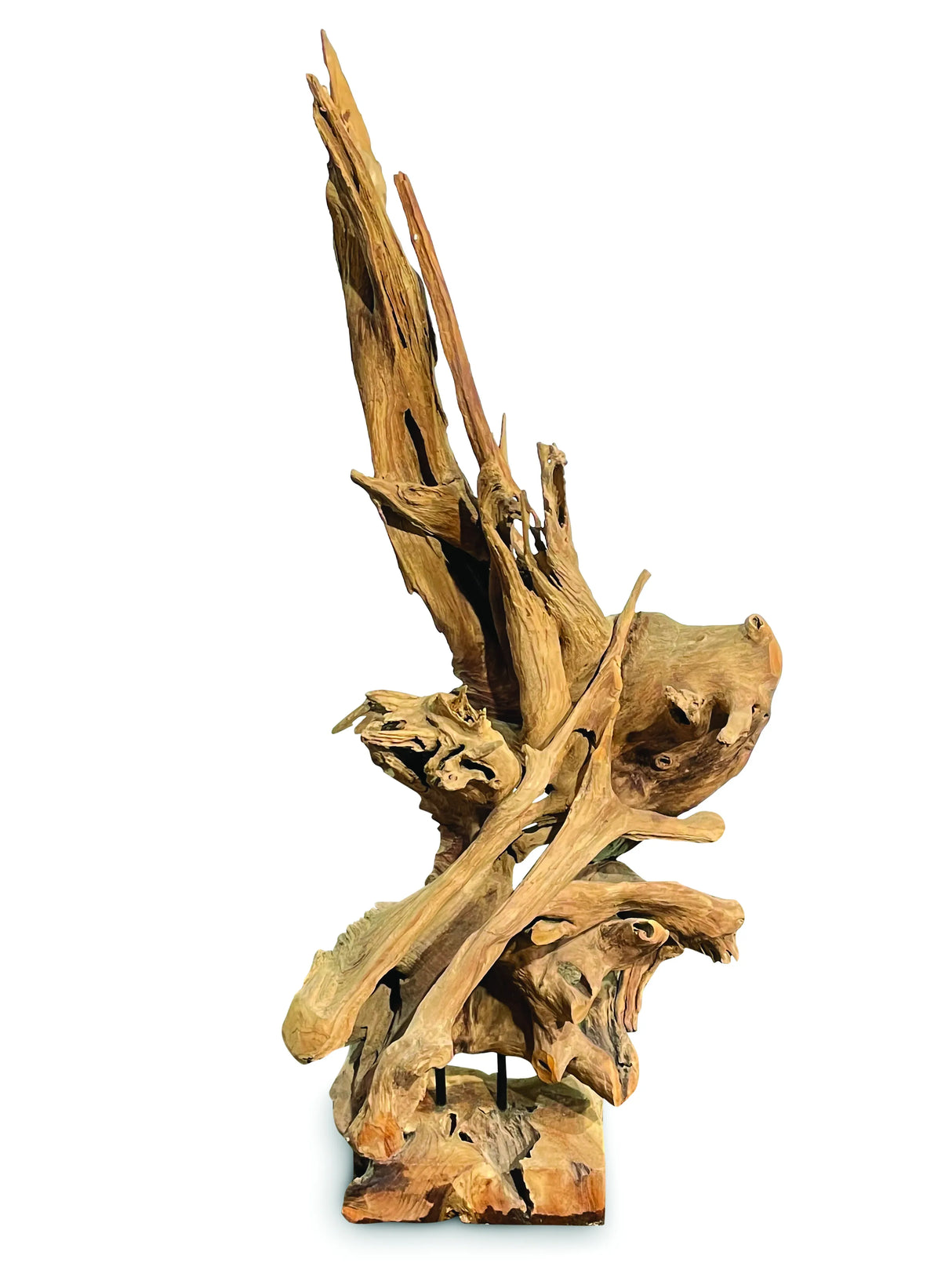 Root Forest Sculpture Large