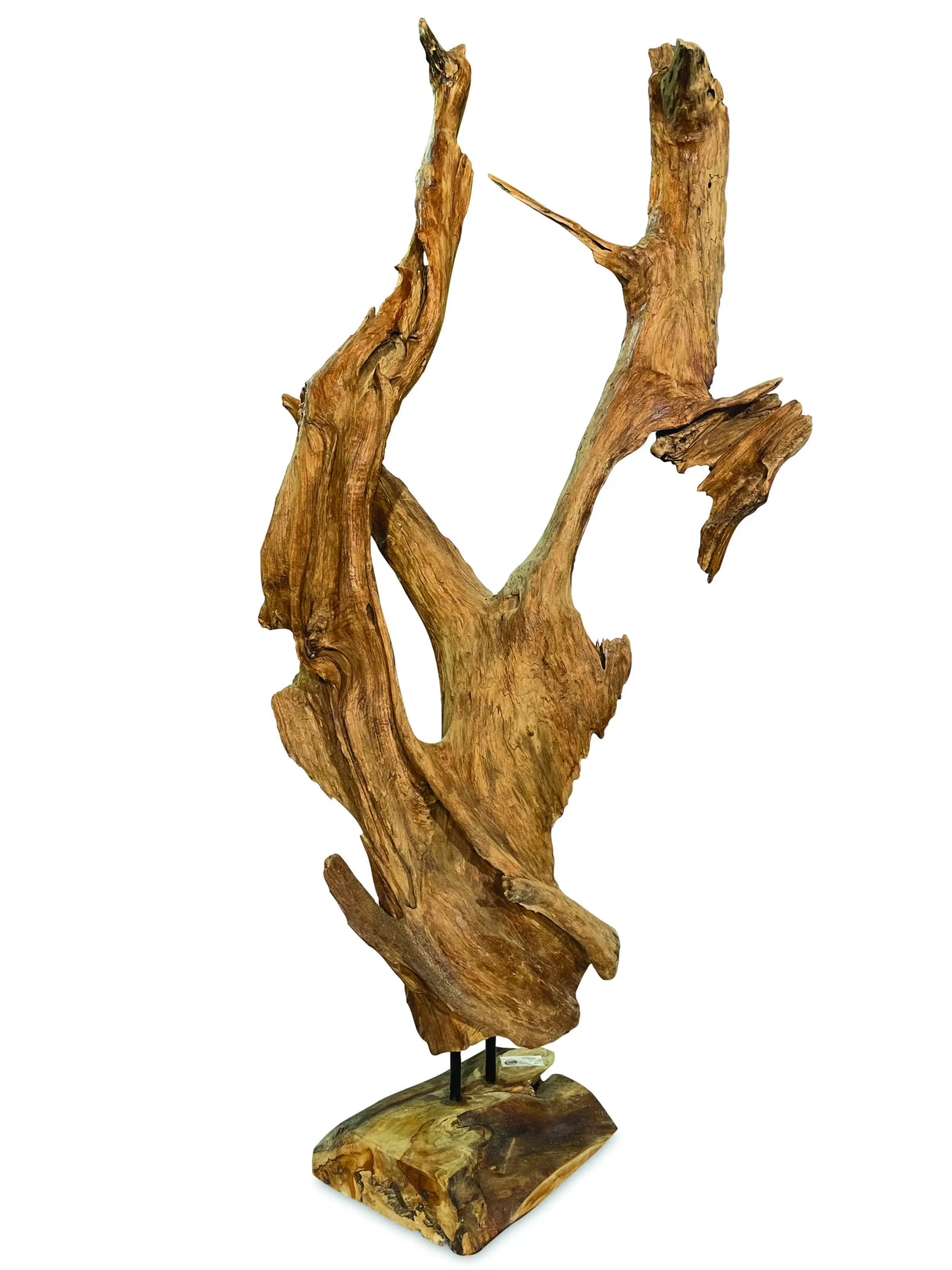 Root Forest Sculpture Large