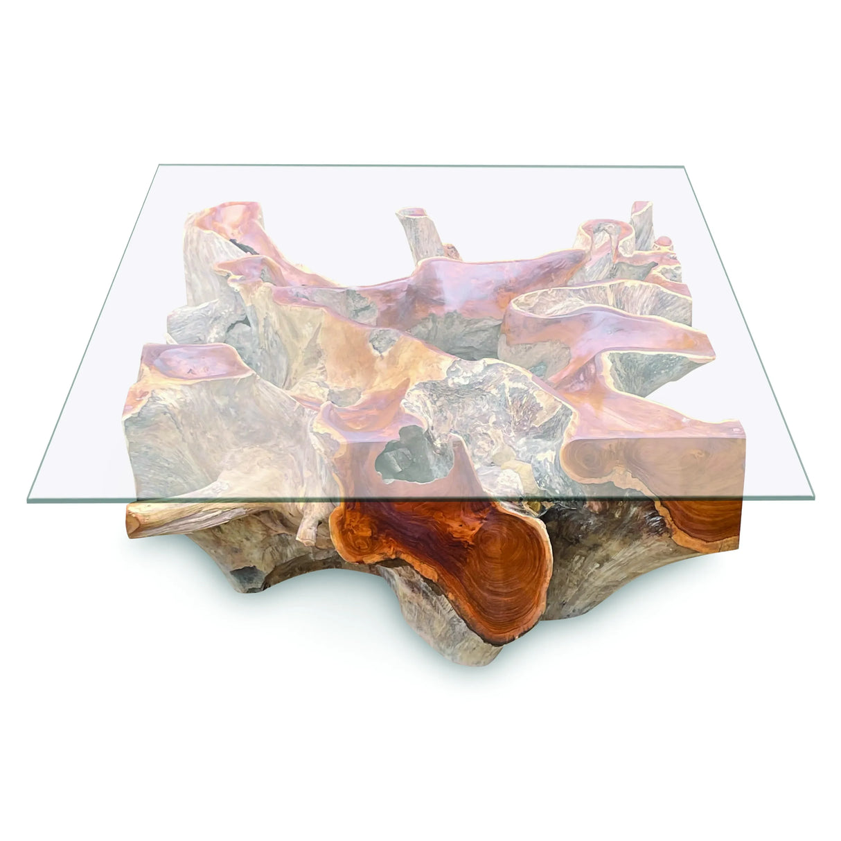 Root Square Lombok Coffee Table Small with 90x90 cm glass