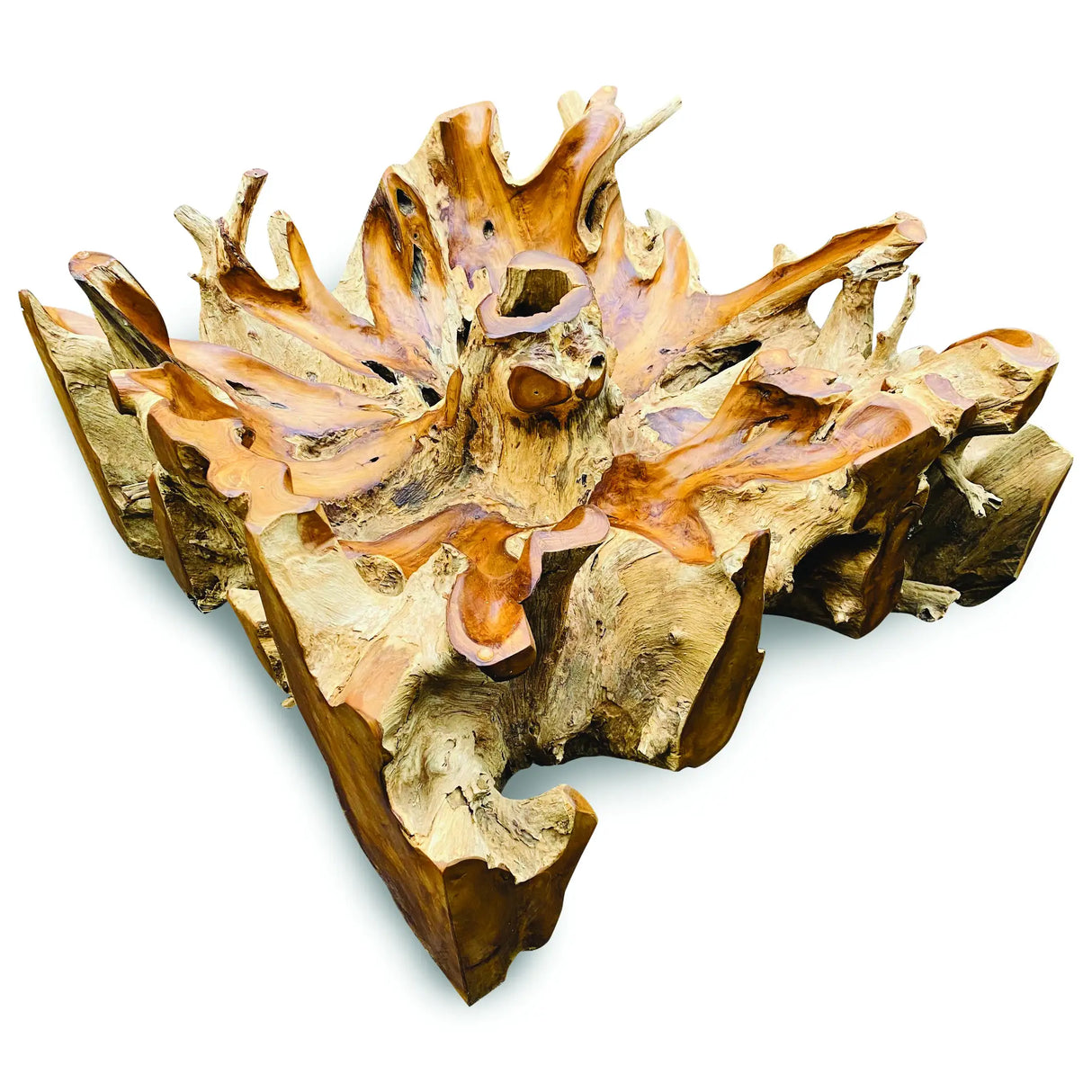 Root Square Lombok Coffee Table Small with 90x90 cm glass