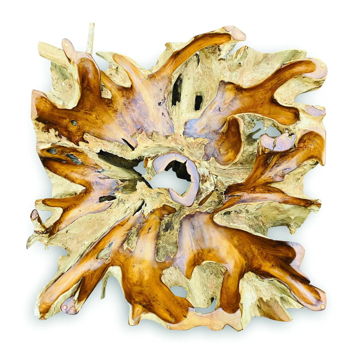 Root Square Lombok Coffee Table Small with 90x90 cm glass