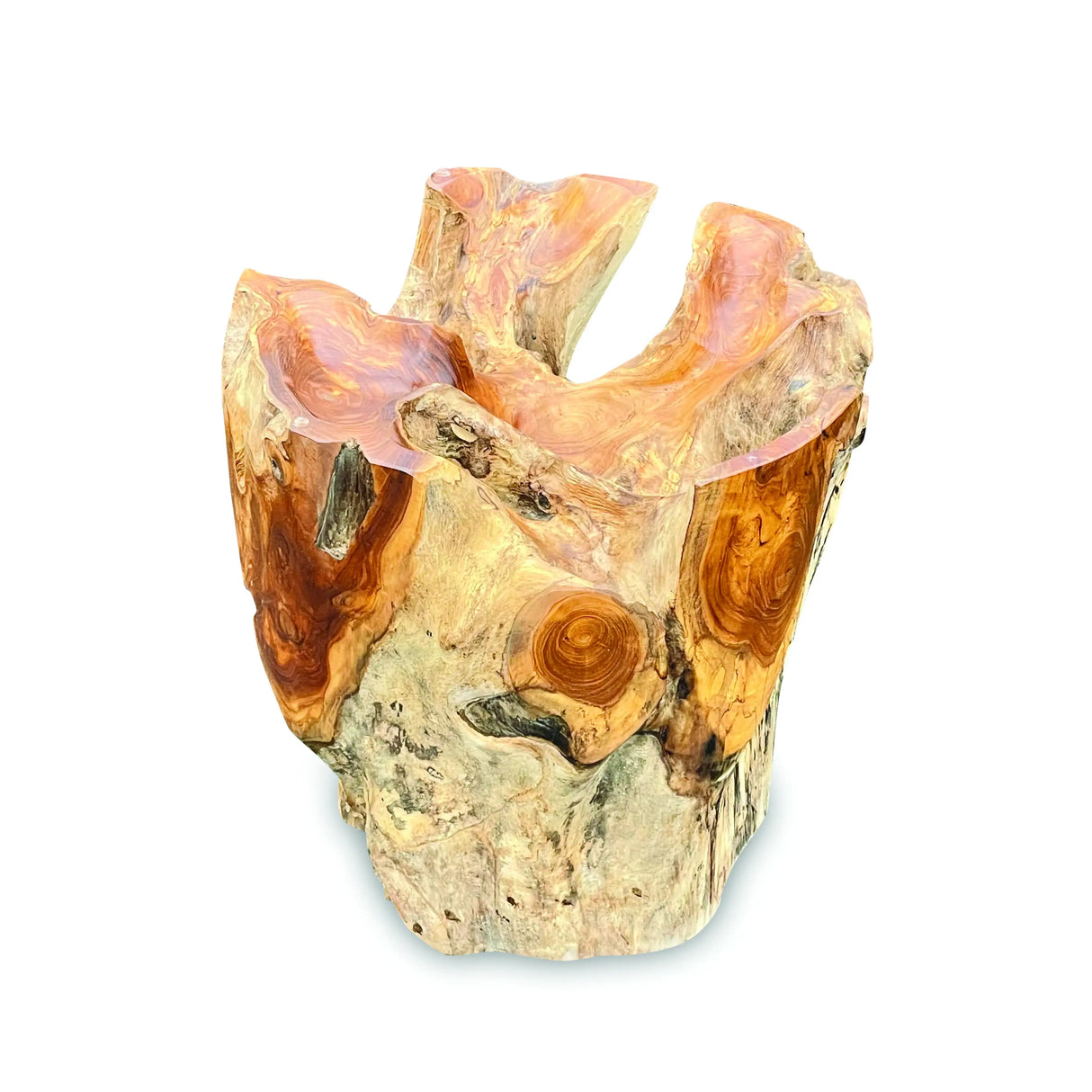 Root Round Lombok Coffee Table Extra Small with Dia. 70 cm glass