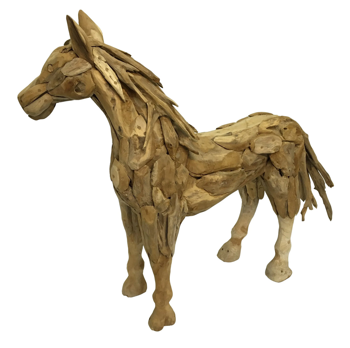 FOAL (new larger size)