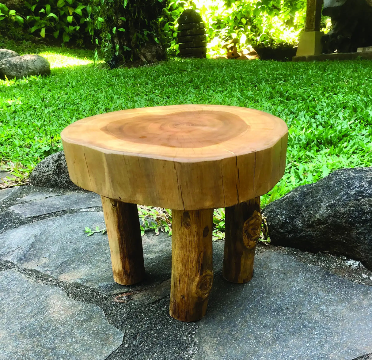ROOT MINI LAMP TABLE/FOOT STOOL 25X25X20