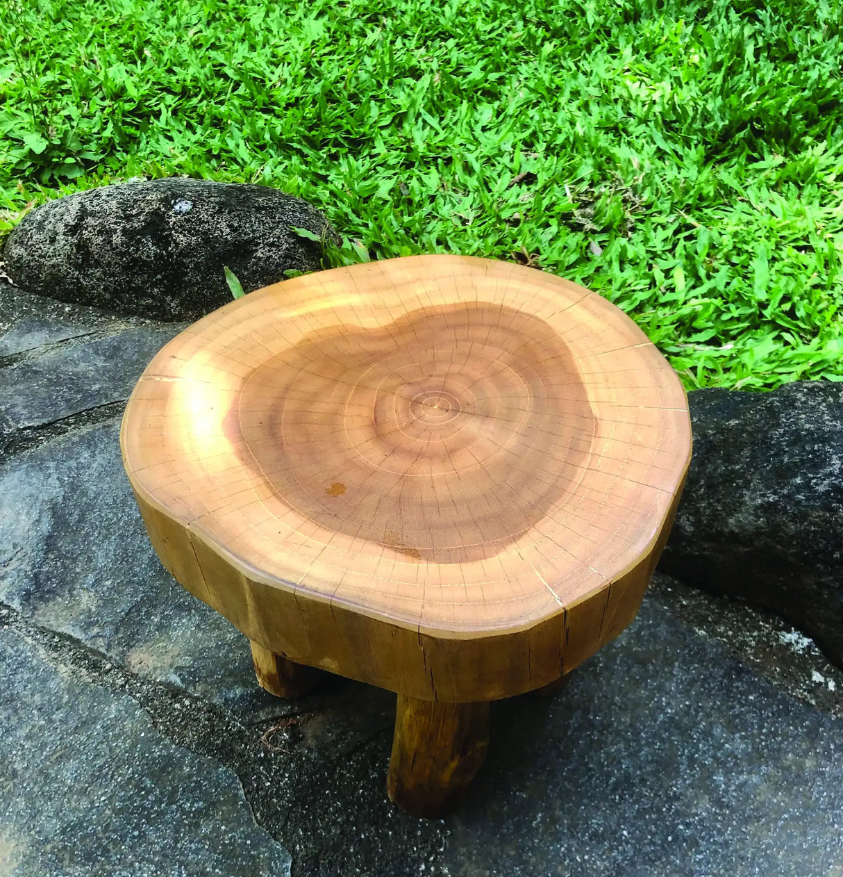 ROOT MINI LAMP TABLE/FOOT STOOL 25X25X20