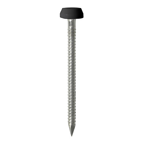 50 x TIMCO Polymer Headed Pins A4 Stainless Steel Black - 40mm
