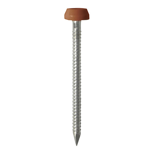 250 x TIMCO Polymer Headed Pins A4 Stainless Steel Clay Brown - 30mm