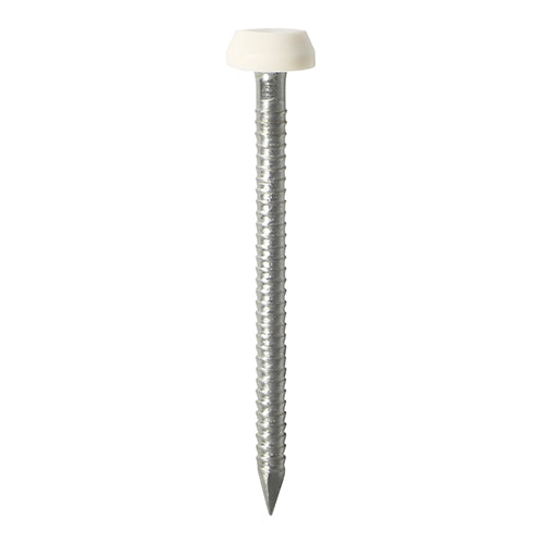 60 x TIMCO Polymer Headed Pins A4 Stainless Steel White - 30mm