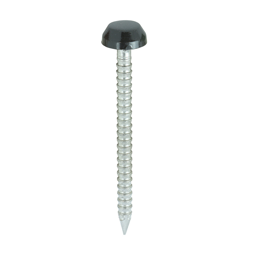 250 x TIMCO Polymer Headed Pins A4 Stainless Steel Black - 30mm