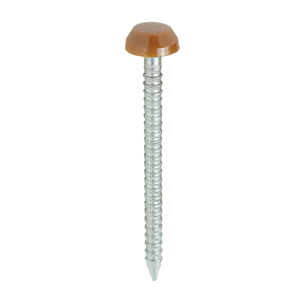 250 x TIMCO Polymer Headed Pins A4 Stainless Steel Clay Brown - 30mm