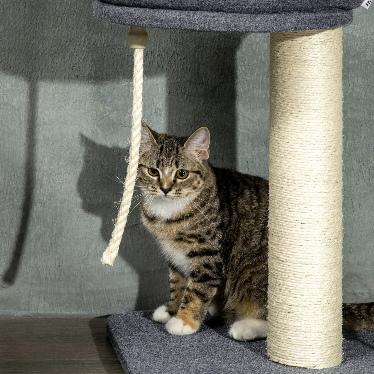 PawHut 240-270cm Floor-To-Ceiling Cat Tree, 5 Tier Cat Climbing Tower, with Bed, Hammock, Platforms, Dark Grey and Cream