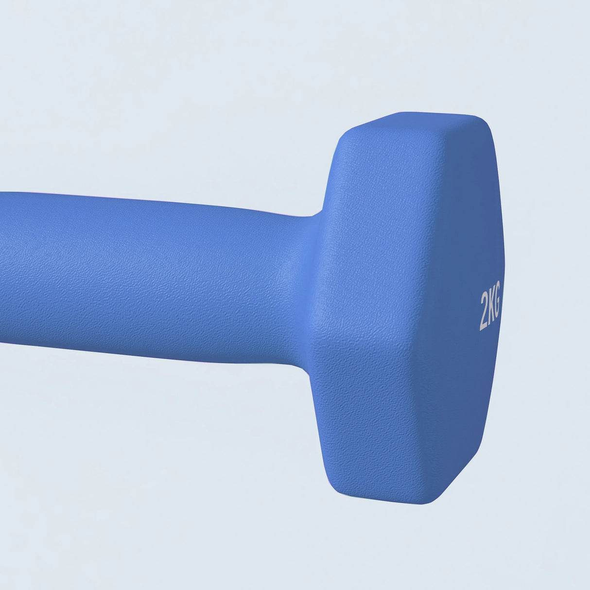 SPORTNOW 2 x 2kg Hexagonal Dumbbells Weights Set with Non-Slip Grip for Home Gym Workout, Blue