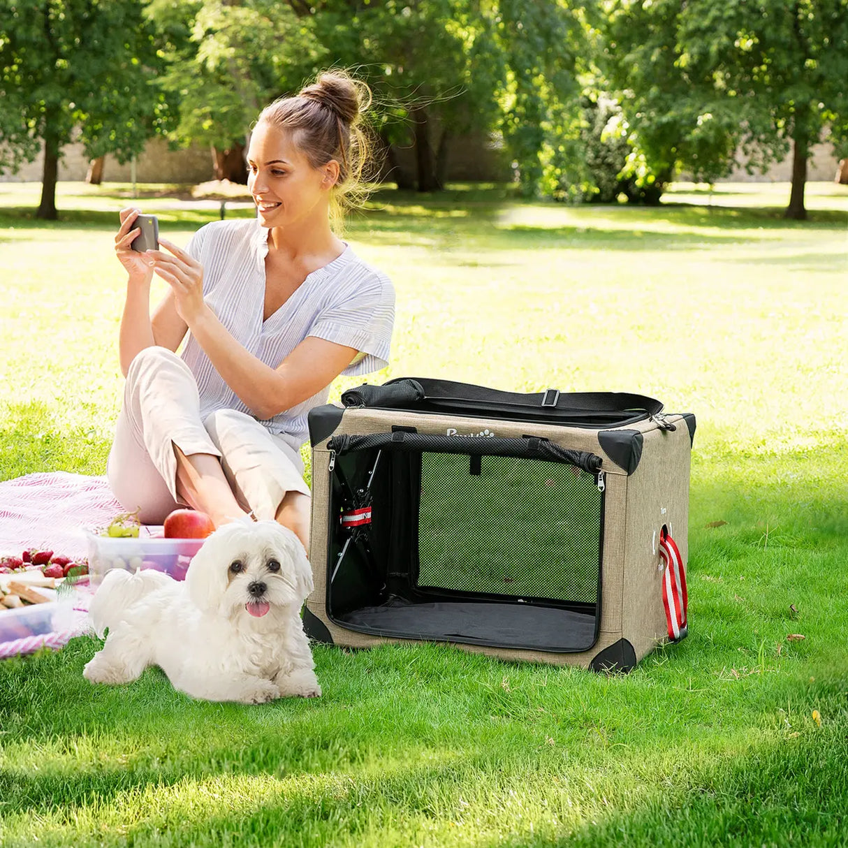 PawHut Foldable Pet Carrier, with Cushion, for Small Dogs and Cats