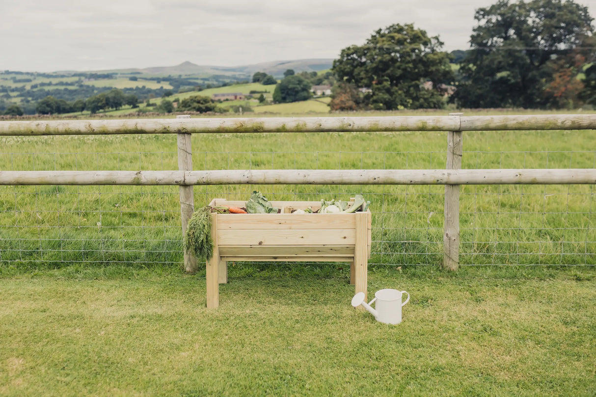 RAISED VEG TRUG / PLANTER - L100CM X H60CM X W52CM