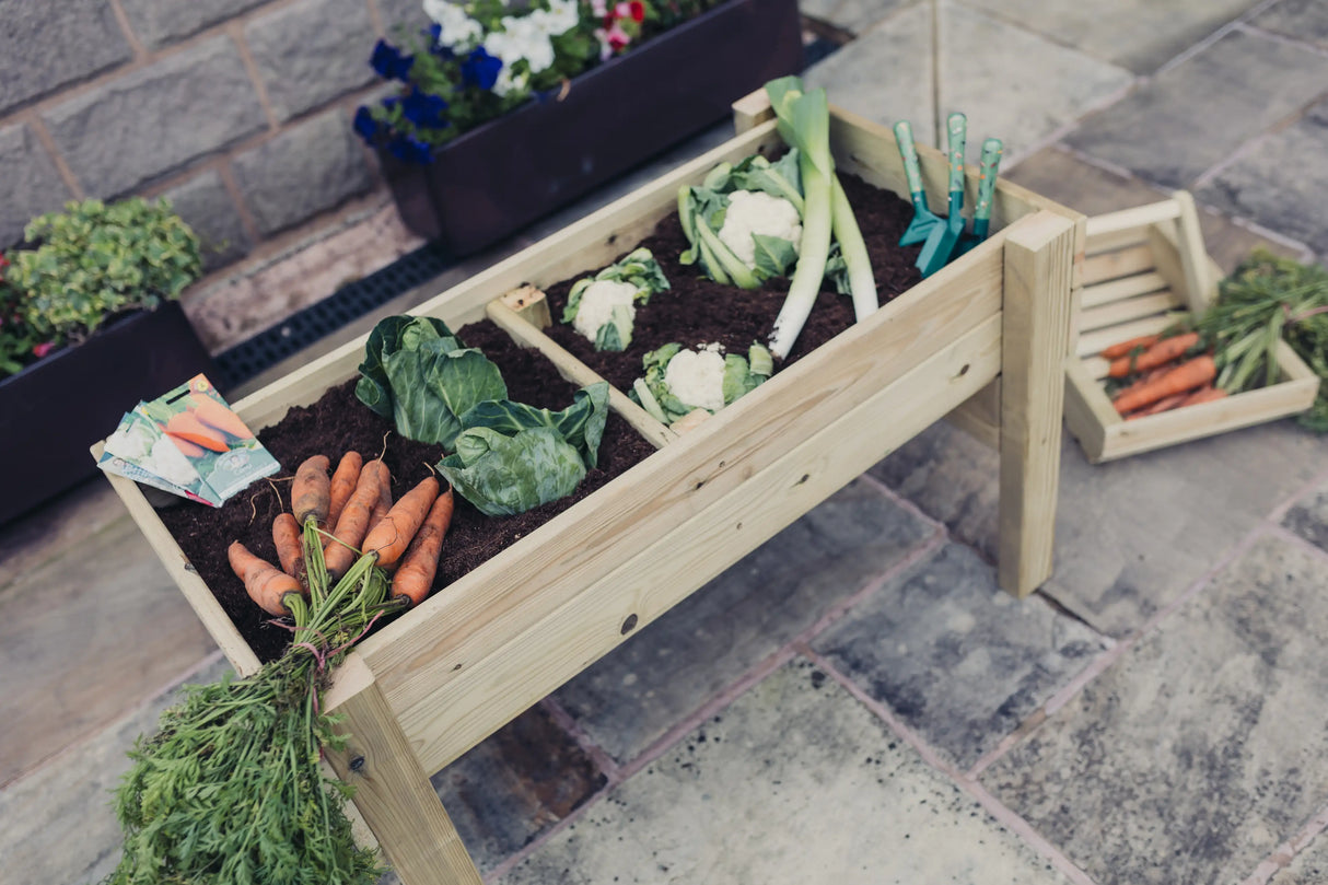 RAISED VEG TRUG / PLANTER - L100CM X H60CM X W52CM