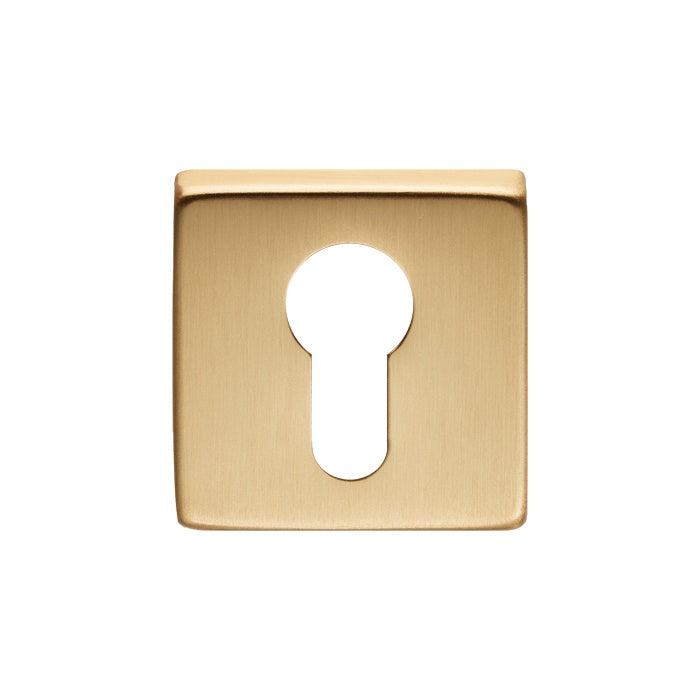 ESCUTCHEON - EURO PROFILE ON CONCEALED FIX SQUARE ROSE OSA (SATIN BRASS) - SATIN BRASS - EACH