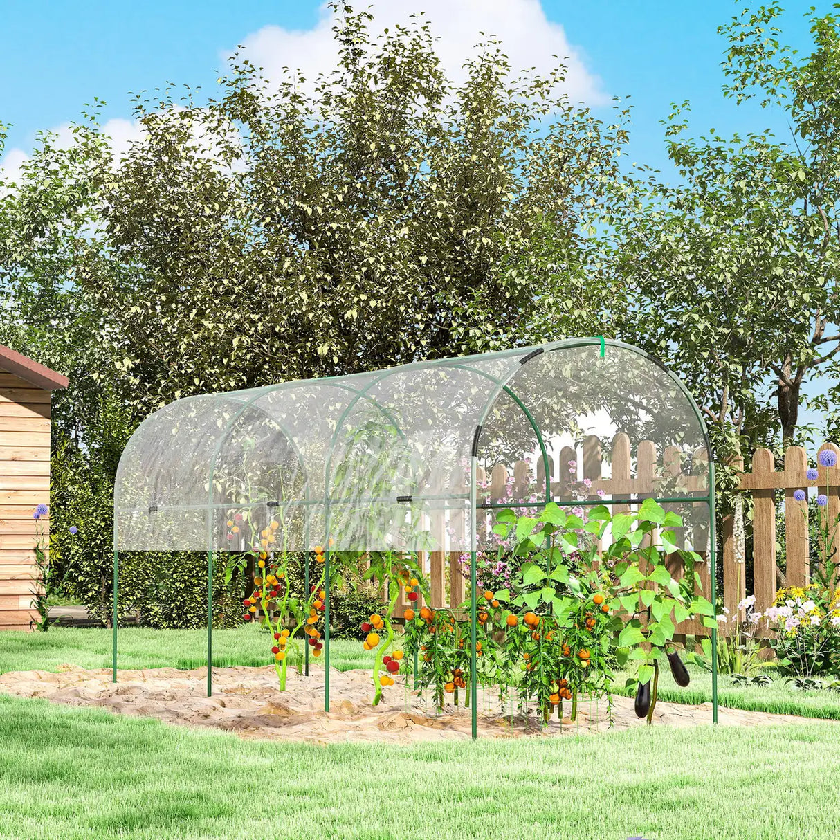 Outsunny Tunnel Tomato Greenhouse with 4 Hoops and Top Tap, Pointed Bottom and Guy Ropes, 400 x 123 x 171 cm, Clear
