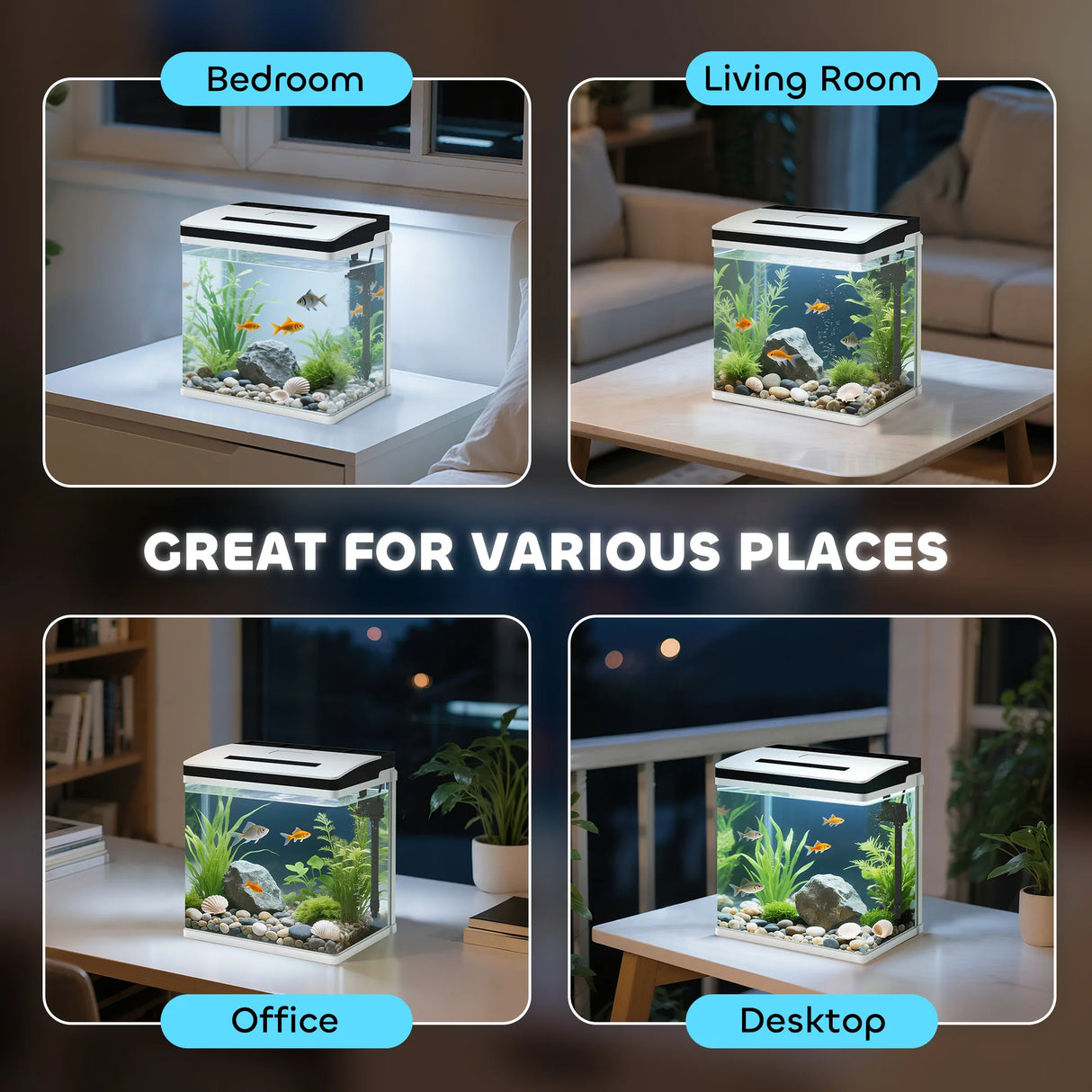 PawHut 13L Glass Aquarium Fish Tank with Filter, LED Lighting, for Betta, Guppy, Mini Parrot Fish, Shrimp, 29 x 20 x 30.5cm