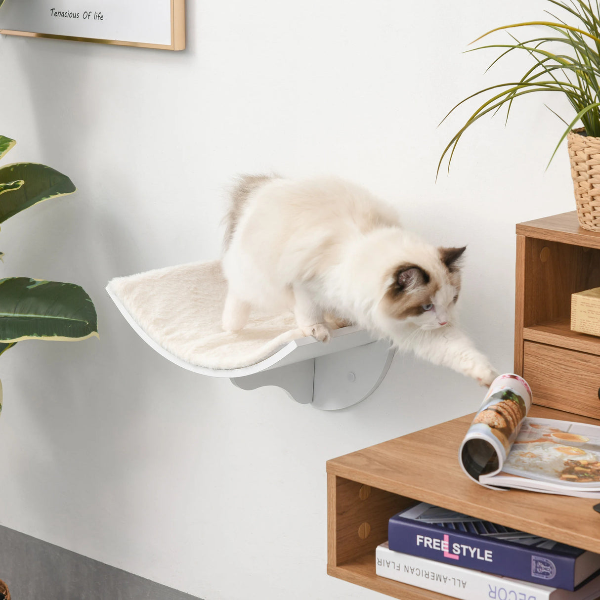 PawHut Wood Cat Shelves, Wall-Mounted Cat Shelter, Curved Kitten Bed Perch Climber Furniture 41 x 28 x 21cm White