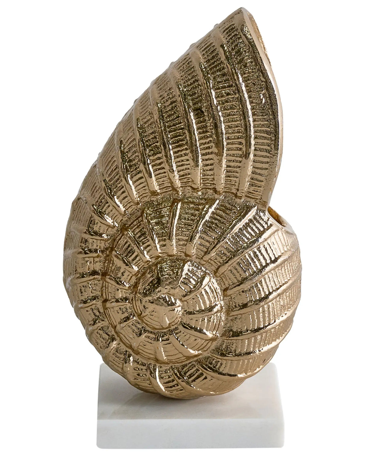 Decorative Figurine Gold Metal Sea Shell Shape Ornament for Displaying Decorative Ornament Beliani