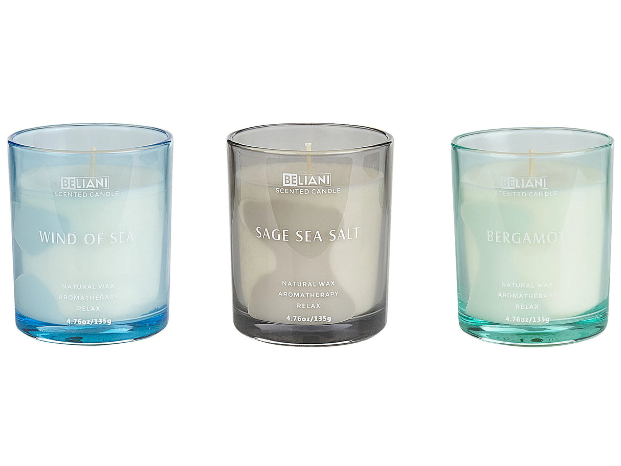 Set of 3 Scented Candles Multicolour 100% Soy Wax Cotton Wick Glass Natural Fresh Fragrance Bergamot/Wind of Sea/Sage Sea Salt Beliani
