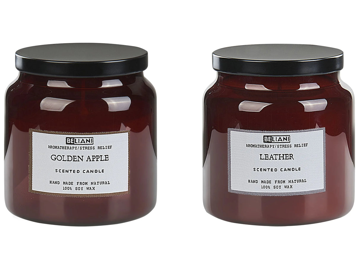 Set of 2 Scented Candles 100% Soy Wax Cotton Wick Glass Fresh Fragrance Golden Apple/Leather Absolute Alchemy Beliani