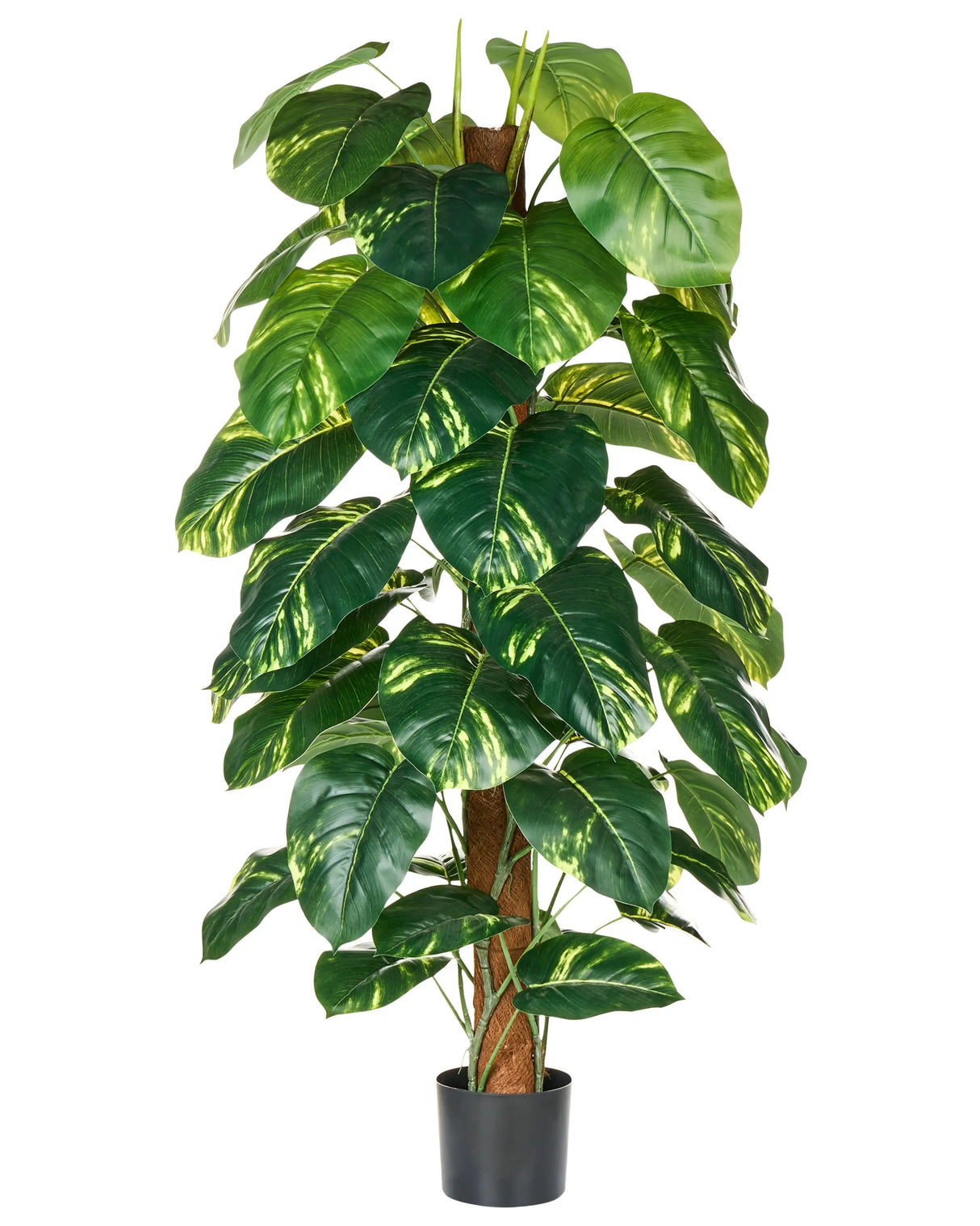 Artificial Potted Dieffenbachia Plant Green and Black Synthetic Material 152 cm Decorative Indoor Accessory Beliani