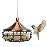 Hanging Suet Fat Ball Feeder for Wild Birds