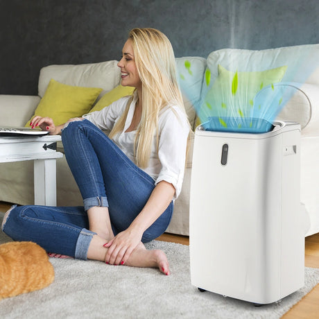 4 in 1 Air Conditioner with Smart APP and Heat Function